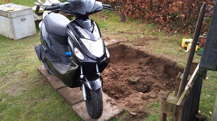 Giantco G-Buddy billede 15