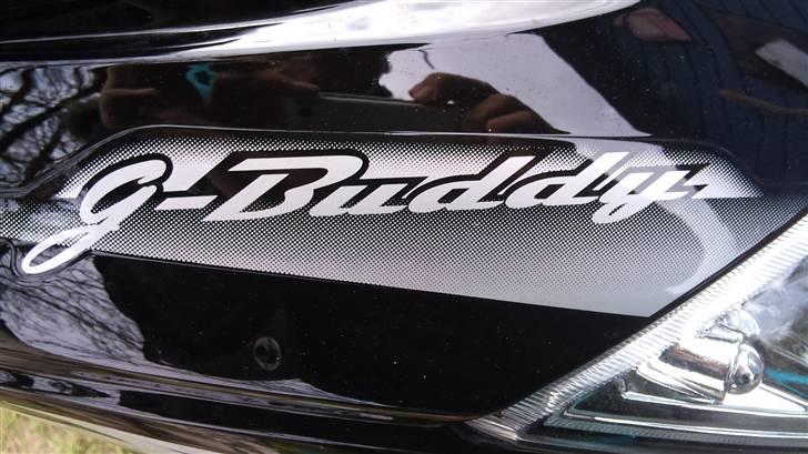 Giantco G-Buddy billede 16