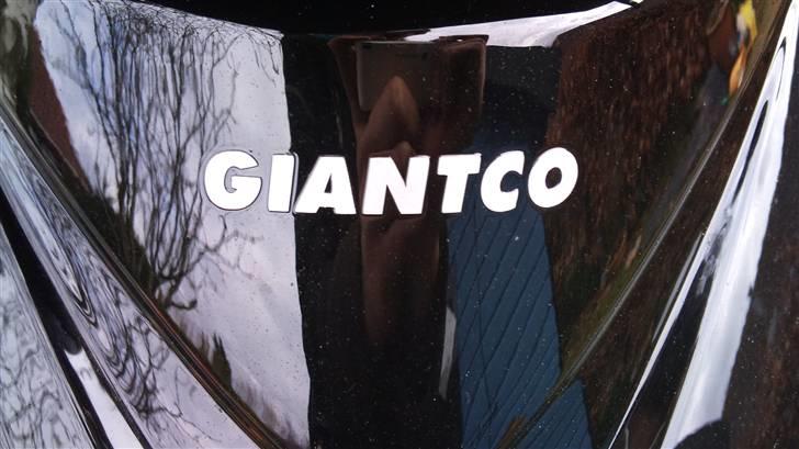 Giantco G-Buddy billede 17