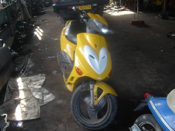 Adly  silver fox Solgt billede 1