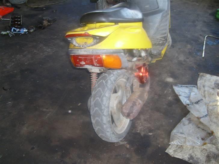 Adly  silver fox Solgt billede 2