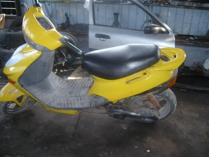 Adly  silver fox Solgt billede 3