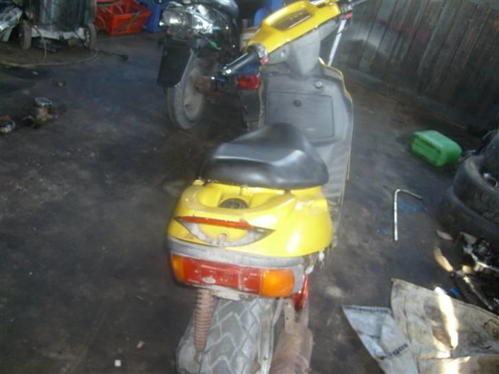 Adly  silver fox Solgt billede 4