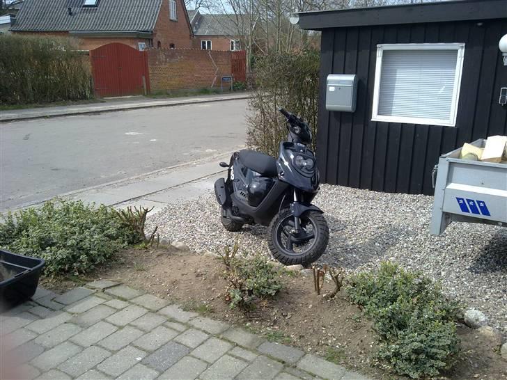 PGO Hot 50 billede 6