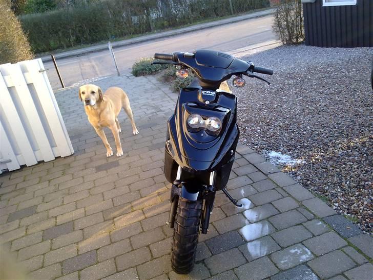 PGO Hot 50 billede 7