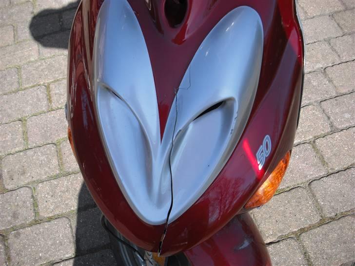 Adly Silverfox SOLGT!!! billede 5