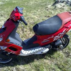 Peugeot Speedfight2 WRC206-SOLGT-