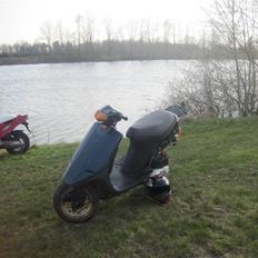 Aprilia amico 