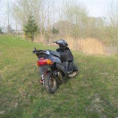 Aprilia amico 