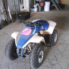 Suzuki LT80