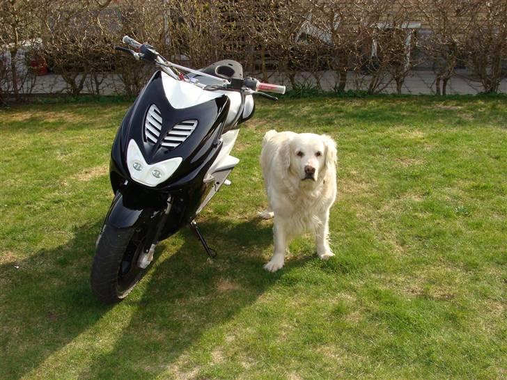 Yamaha Aerox Lc (Solgt) billede 6