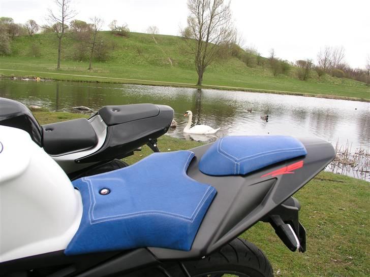 Aprilia Rs50 # SOLGT# billede 9