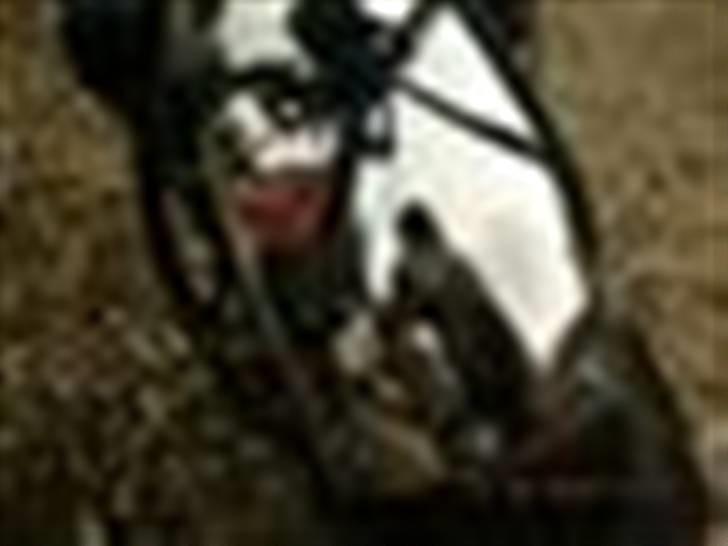 Jincheng Dax 125cc. billede 2