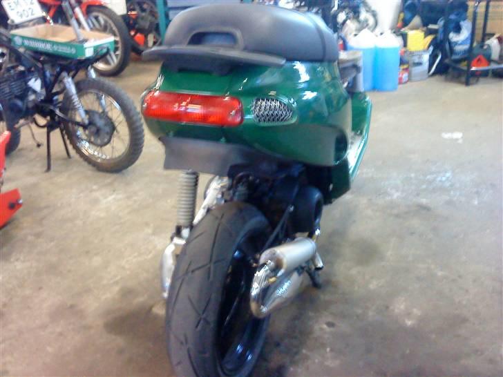 Piaggio typhoon billede 6