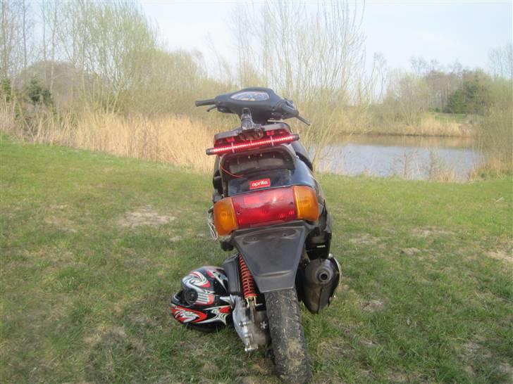 Aprilia amico  - før billede 5