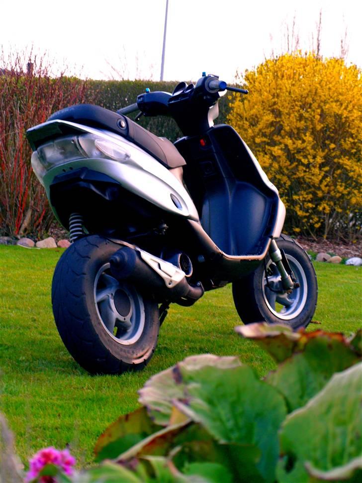 Gilera Stalker billede 1