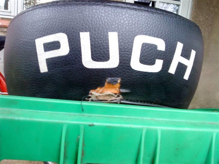 Puch Maxi P ¤ Før Renovering ¤ billede 7