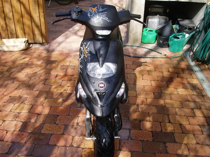 Gilera Stalker - Ja. Hun er altid våd:D billede 1