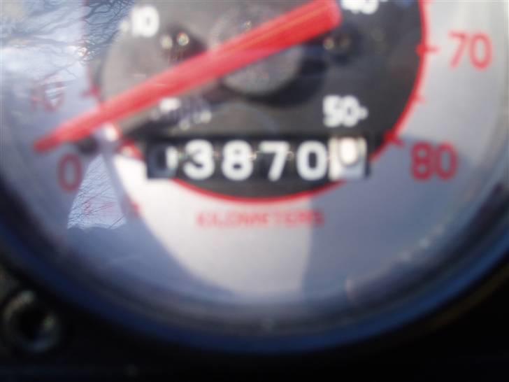 Gilera Stalker - Hun er stadig ung. billede 6