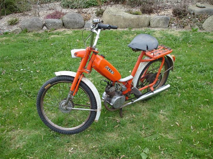 Sco Populær billede 1