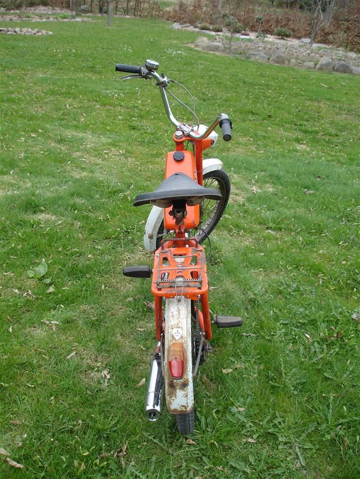 Sco Populær billede 4