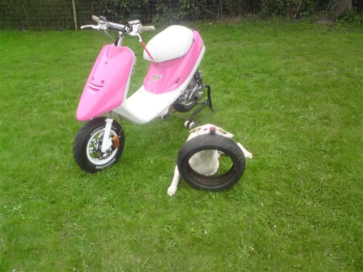 Yamaha Jog Evo2 Lc (SOLGT) billede 16