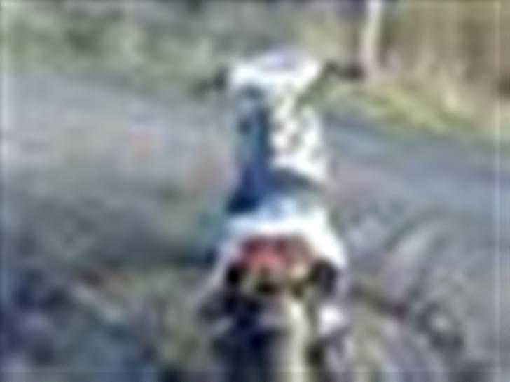 PGO Hot 50 billede 2