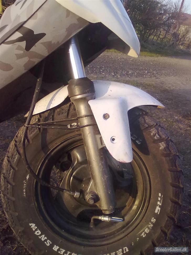 PGO Hot 50 billede 5