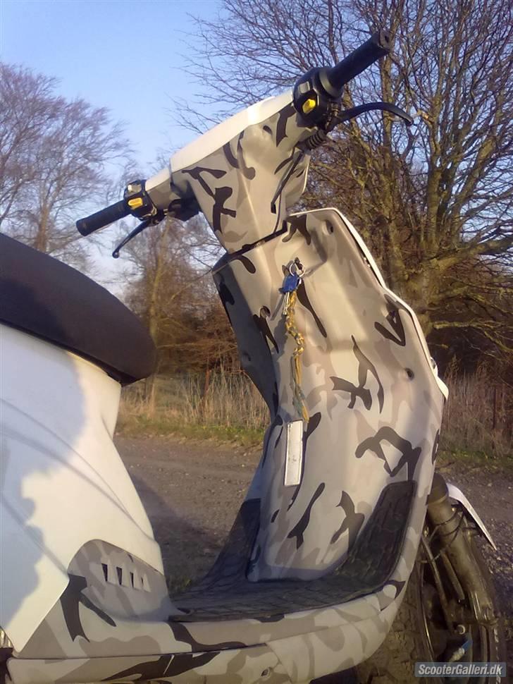 PGO Hot 50 billede 6