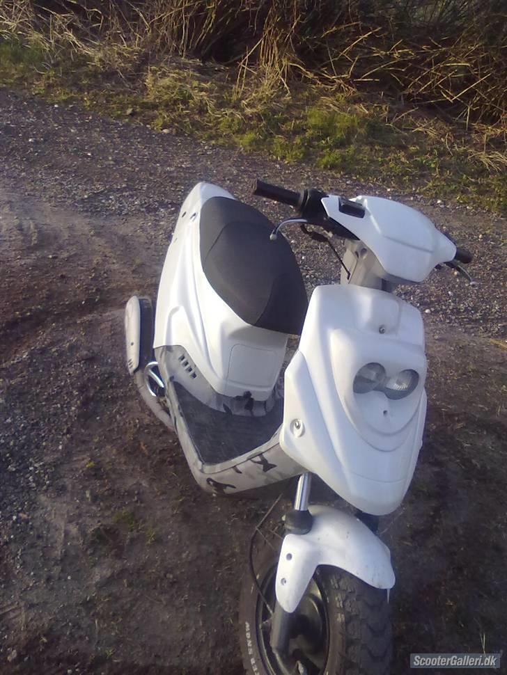 PGO Hot 50 billede 10