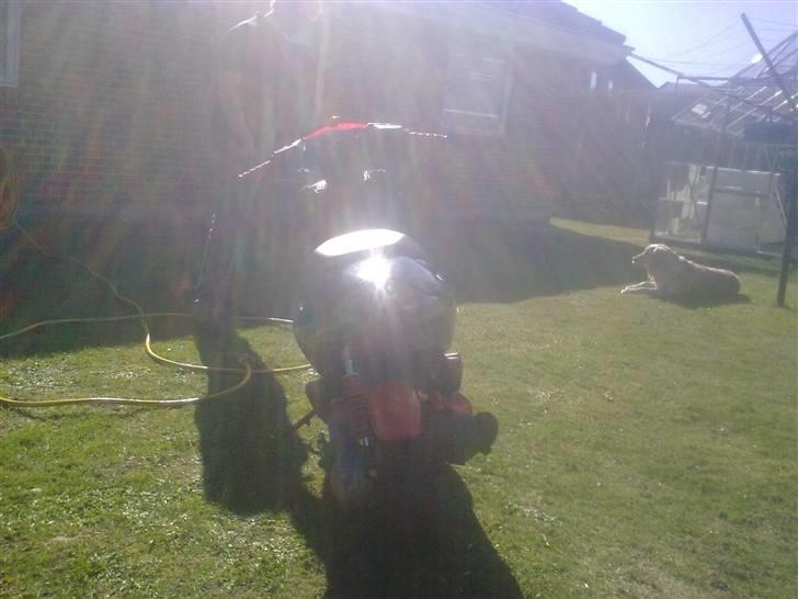 Aprilia Sonic SOLGT billede 3