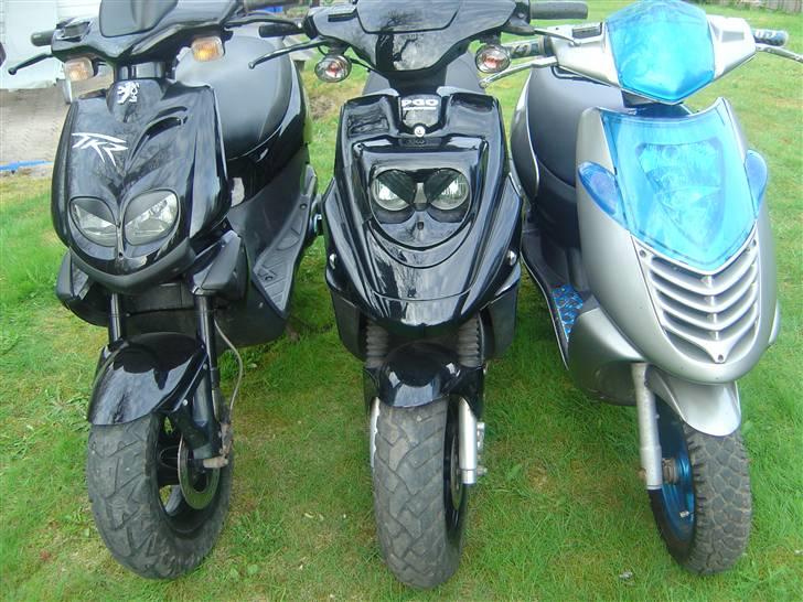 PGO Hot 50 tage af politi billede 8