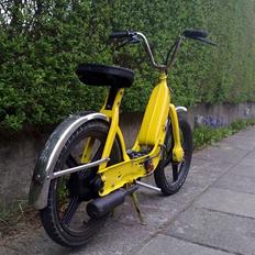 Piaggio caio ($olgt)