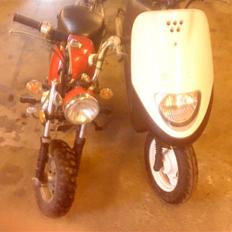 Skyteam Gorilla SOLGT!