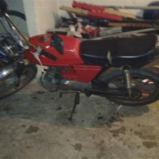 Puch grand prix (SOLGT)