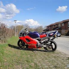 Aprilia Rs50 #SOLGT#