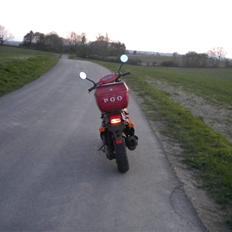 PGO Big Max