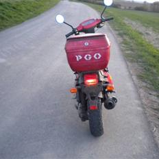 PGO Big Max