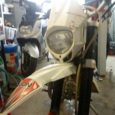 Apollo Orion   E 29 DD