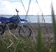 Tomos mc50 senior 