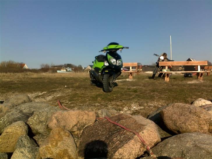 PGO Dr. kampvogn [SOLGT] billede 1