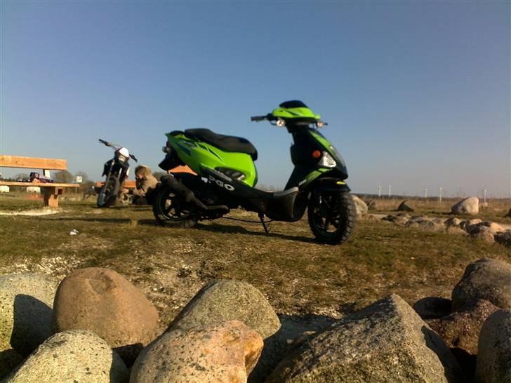 PGO Dr. kampvogn [SOLGT] billede 2