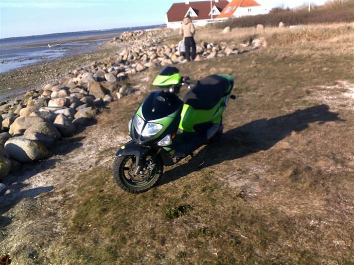 PGO Dr. kampvogn [SOLGT] billede 3