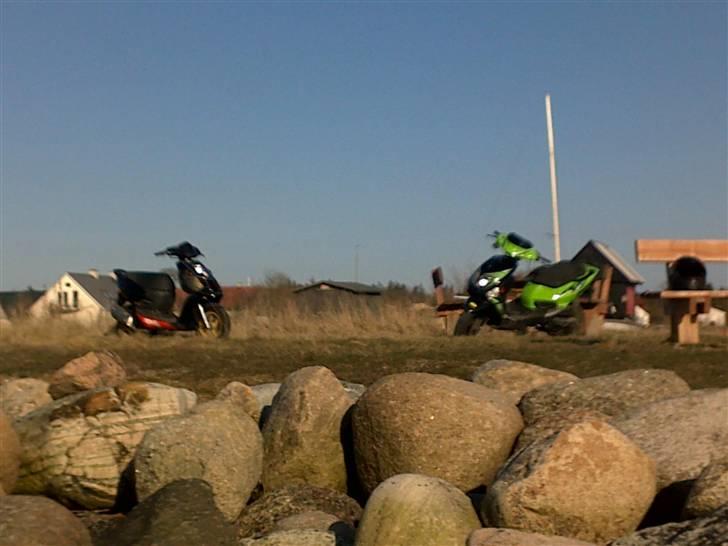 PGO Dr. kampvogn [SOLGT] billede 6