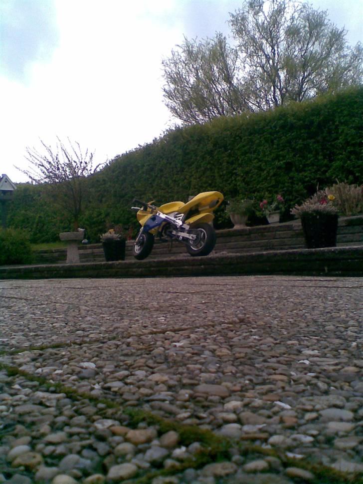 MiniBike Det'Gule'lyn^ billede 5