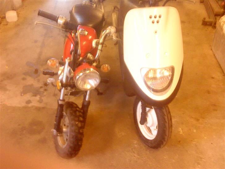 Skyteam Gorilla SOLGT! billede 2