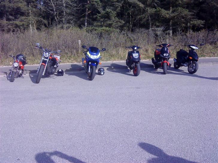 Skyteam Gorilla SOLGT! billede 7