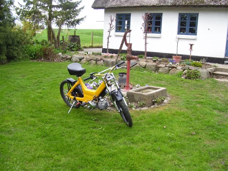 Puch Maxi K   billede 7