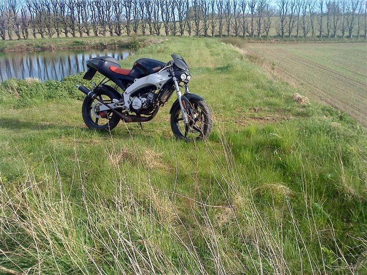 Aprilia rs 50 $ billede 16