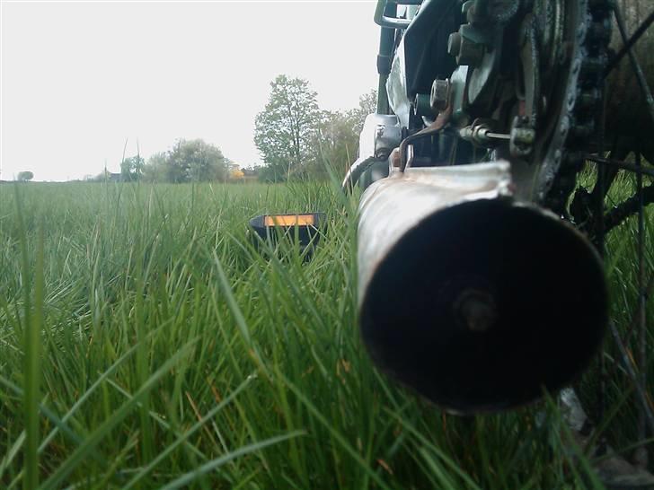 Puch Maxi P ~BYTTET~ billede 19